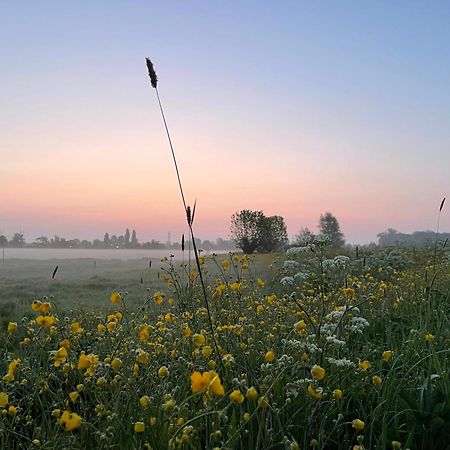 Hestar Husid, Het Luxe Paardenhuis Weesp Eksteriør bilde
